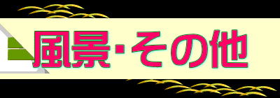 風景・その他 