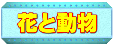 花と動物